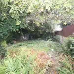 55 Jumpers Road Garden