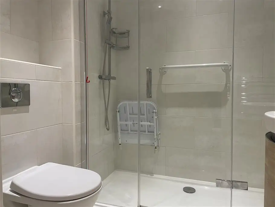 10 Fleur de lis Shower room