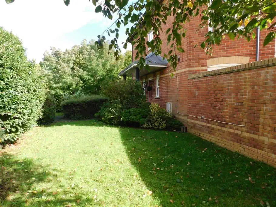 124 Fairmile Road Side garden