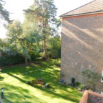 4 Catherine Wheel Garden garden