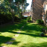 4 Catherine Wheel Garden garden