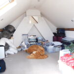 51 Elizabeth Avenue Loft room