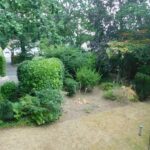 Flat 4 Oaktree Court COmmunal gardens