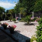 8 Rivermead Gardens Garden