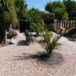 8 Rivermead Gardens Garden