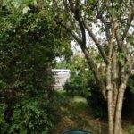 16 Branwell Close Garden