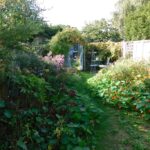 56 Fairmile Road Garden