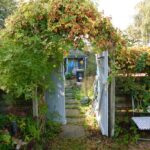 56 Fairmile Road Garden